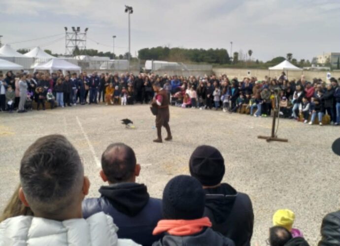 183def35 85b9 47ab a0ac 7085e3de33f2