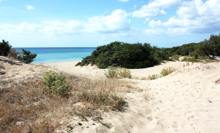 spiaggia san pietro in bevagna